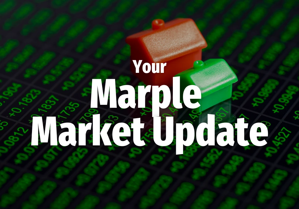 Marple Market Update - Julian Wadden