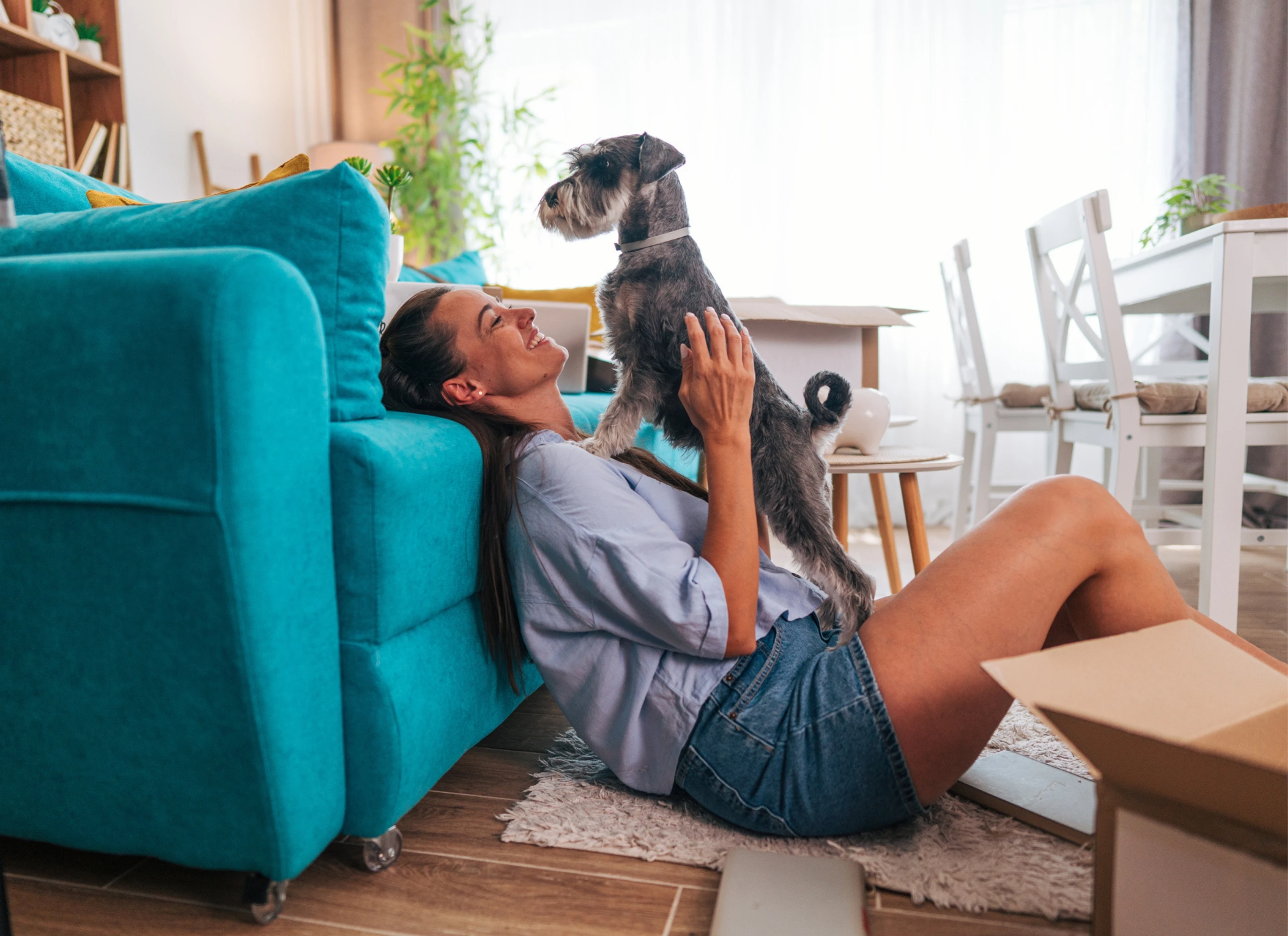 The right to request pets under the Renters’ Rights Act  - Julian Wadden