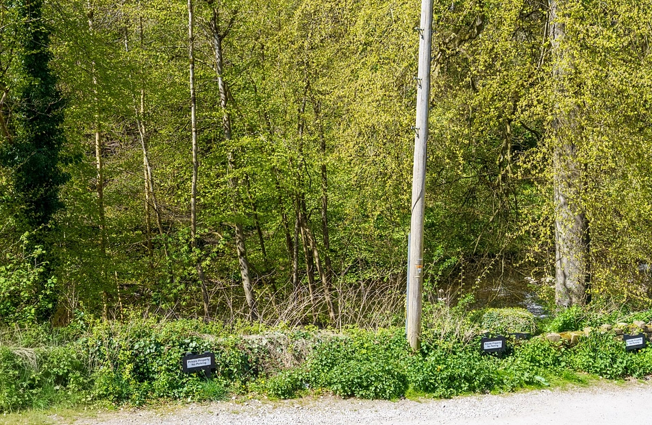 Low Lea Road, Marple Bridge, Stockport, Greater Manchester, SK6 - Julian Wadden