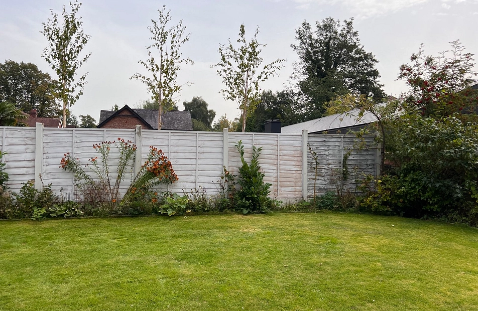 Palatine Road, West Didsbury, Manchester, M20 - Julian Wadden