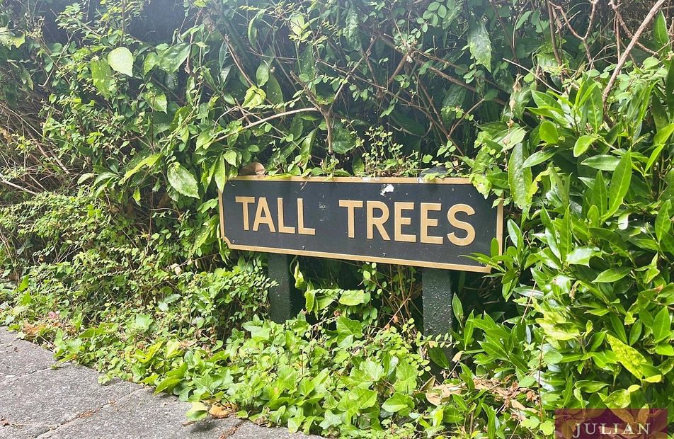 Mersey Road, West Didsbury, Manchester, M20 - Julian Wadden