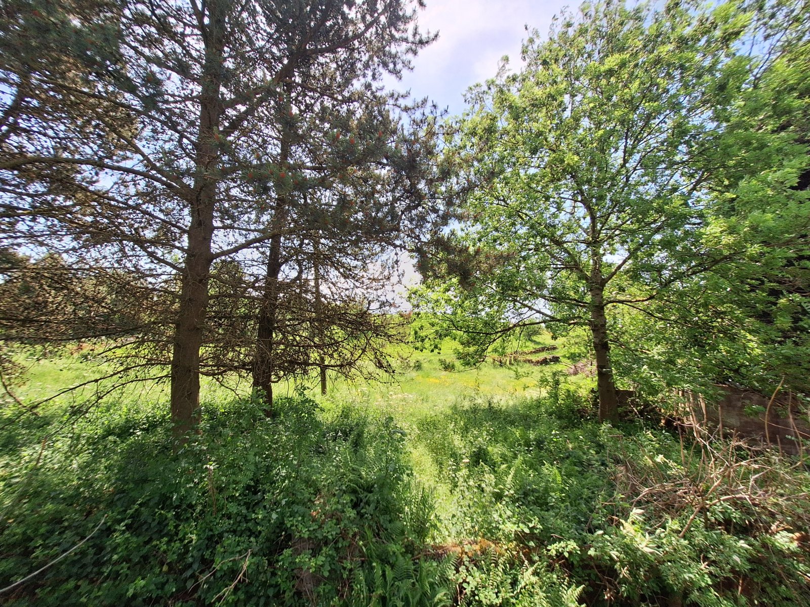 Hollywood Road, Mellor, Stockport, Greater Manchester, SK6