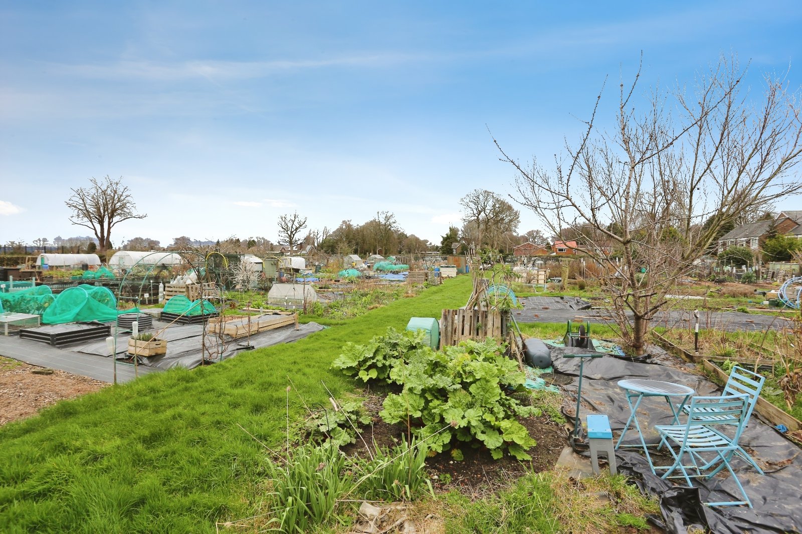 Beaminster Avenue, Heaton Mersey, Stockport, SK4